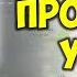 Гугл карты просмотр улиц 3D Как ходить по улицам Гугл Карты Панорама