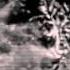 3TEETH Pearls 2 Swine OFFICIAL VIDEO