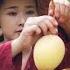 Fruit Compilation 1 Lychee Longan Mango A Collection Of Yunnan Fruits Documented Before