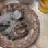 Uneven Growth In Baby Pigeons Boosting The Little One With Supplements Kalapati Pigeon Pet
