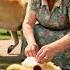 How A Baby Yellow Chicken Was Abandoned And Then Rescued By A Labrador Rescue Animation Animals