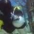 Diving In Tioman Island Dolphin Spotted