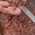 BBQ Basics How To Grill Chicken And Kebab On Charkol For A Delicious Meal Shorts Kebab