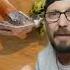 Make My Squirtle Famous Famous Pokemon Squirtle Viralshort Youtube Shorts