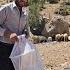 Atabek S Trip To The City To Repair The Refrigerator And Buy Materials For The Kitchen