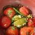 Aku Belum Pernah Merasakan Rasa Seperti Itu Sebelumnya Resep Sambal Tomat Desi Yang Dibuat Denga