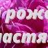 С днём рождения Настя Красивая видеооткрытка