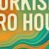 Best Afro House Turkish 2025 Gülşen Ajda Pekkan Simge Hande Yener Kenan Doğulu Reynmen Mix