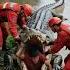 Rescuing A Man From The Jaws Of A Crocodile