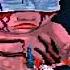 Red Sex Re Strung Slowed Vessel Edit Audio
