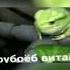трубоеб виталя