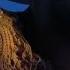 FALLY IPUPA JUSTE UNE DANSE