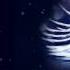 09 Sorrow Wmv