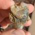 This Agate Has Some Crazy Bands Agate Gemstone Treasure