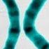 Genes Vs DNA Vs Chromosomes Instant Egghead 19