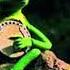 Kermit Just The Two Of Us Bill Withers AI Cover