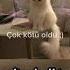 Seyyal Taner Son Verdim Kalbimin Işine Speed Up