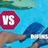 TEST KECEPATAN BERENANG PAKAI BIFIN VS MONOFIN