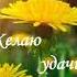 Диктант 8 класс