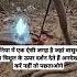 त र श ल पर न ग द वत द त ह दर शन Vishnu Vishnupurana Vishnumantra