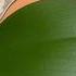 Just Need Rice Orchid Leaves Immediately Grow Roots And Bloom All Year Round