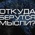 Нейросеть отвечает откуда берутся мысли нейросеть мысли психология мозг