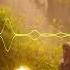 A Small Miracle Romarecord1973 NoCopyrightMusic Nz
