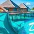 Deep Mood Radio 24 7 Live Radio Best Relax House Chillout Study Running Gym Happy Music