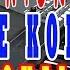Kangen Nickerie Karaoke Koplo Dangdut Tanpa Vokal Cowok Lirik
