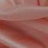 4K Seamless Hot Skin Silk 001 Free Motion Background No Copyright
