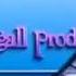 Stu Segall Productions Logo History UPDATED