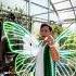 Let S Visit The Las Vegas Springs Preserve S Butterfly Habitat Open Until Nov 25th Lasvegas
