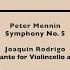 Symphony No 5 III Allegro Tempestuoso