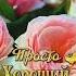 Для защиты рода и очищения от негативных энергий любого вида для везения в жизни сдобрымутром