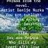 Novel Artista Sanije Nurka 4 6 2025