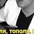 Тополя тополя все в пуху Shorts песниподгитару дмитрийдоценко