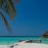 Island Getaway