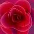 PSon Zubaboy Beautiful Thing X Slimmz Prod By C Tea