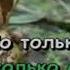 Караоке для детей Танго Нарцисса