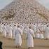 Shahar Hai Mustafa Madina Naat Sharif Islamic Video Mashallah