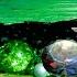 Open The Giant Green Clam And Be Mesmerized By The Green Pearls Inside It S Incredibly Beautiful