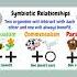 Symbiotic Relationships Symbiosis Symbiotes Mutualism Biology Genetics Parasitism