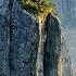 What Is The Top Of Huangshan At A Glance I Found That It Is A Fairyland On Earth