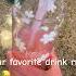 Pink Lemonade Pookie Bigback