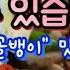 속초현지인 속초 현지인맛집 골뱅이드실분 ObuTv 오징어부부TV