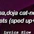 Rihanna Doja Cat Needed Me Streets Sped Up Reverb