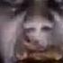 Shizoid Mentally Distubing Five FOUND LOST MEDIA Re Uploaded