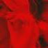Departed Souls Original Mix By RILTIM Destiny By PLVTINA