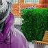 Placing Bounty On Unsuspecting Players In GTA 5 RP