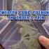 Tyranitar Tin Pokemon Ccg Pack Pokemoncards Cards Tradingcards Tcg Like Pokemontcg Packs